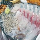 싱싱산오징어 이미지
