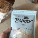 간식먹자 | 간식먹자 북어 동결건조 트릿 고양이 반응 후기