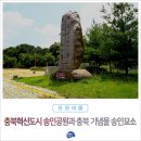 한울상조 | 충북혁신도시 덕산읍 송인공원 충북 기념물 송인묘소 진천 여행