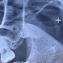 바른이치치과의원 이미지