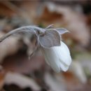 나리농장 이미지