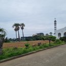 대건목장 이미지