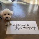 일상다글씨 이미지