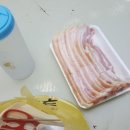 소나무숲아래