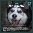 오드리쉬