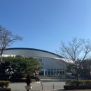 투혼체육관 | 직관! 울산현대모비스피버스 VS 고양소노스카이거너스 (울산 동천체육관) Feat.SS석 1층 SS-5구역 2열