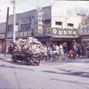한국정육점 Daum카페