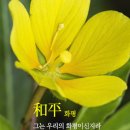 화평 이미지