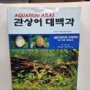 백제수족관 - 송파구 오금로 202 | 백제수족관