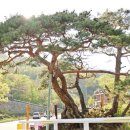 하조 마을회관 이미지