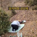 대성장묘 이미지