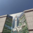 대한예수교장로회충무제일교회 | 양재 온누리교회 웨딩 식사 결혼식 뷔페 주차 하객 후기