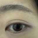 5·6호(2) 이미지