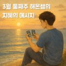 게보 | 해온쌤의 3월 타로 둘째주 이번주 지혜의 메시지