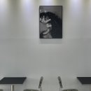 라누보헤어 이미지