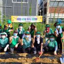 새희망마을 이미지