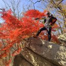 축령산&단풍산행(2) 이미지