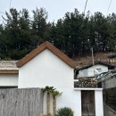 사유의숲 | 발리 감성의 삼척 풀빌라 사유의숲