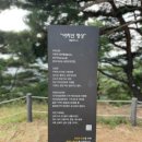 바다의별 이미지