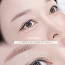 채꼬살롱