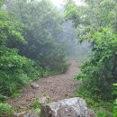 향로봉쉼터 | 260626 내연산6봉종주