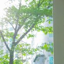 오키전자담배 이미지