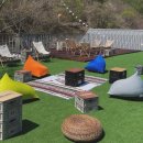 메리도그하우스 이미지