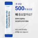피오 | (협찬) 피오랩 프로바이오틱스 유산균 체험후기