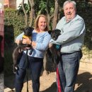 새솔동물병원 이미지