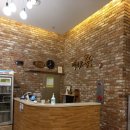 백운애꽃 이미지