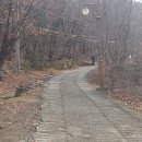 대명동 강아지 이미지