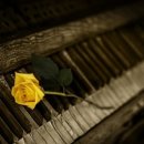 음악옥타브 이미지