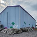 퍼플스테이 이미지