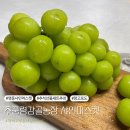 감골농장 이미지