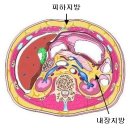 GYM609 네이버블로그