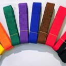 단 태권도 이미지