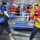 신순철 용인대 복싱클럽 이미지