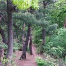 바라산자연휴양림 이미지