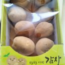 과일야채천국