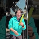 비전튼튼연합의원 | 국회의원SNS소식20260412일요일