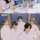 나우어데이즈