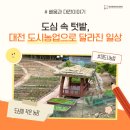 대전광역시농업기술센터 | 도심 속 텃밭, 대전 도시농업으로 달라진 일상