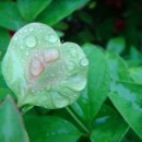 하트여인숙 이미지