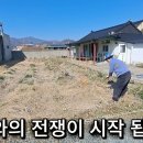 예림초등학교 이미지