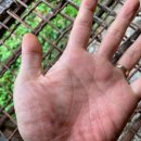 기자농장 이미지