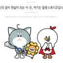 옐로우컴퍼니 이미지