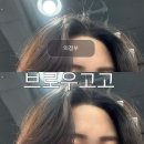 헤어고고 | 의정부왁싱 헤어라인, 눈썹왁싱 브로우고고
