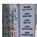 예뻐질:개&고양이카페 이미지