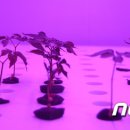 대일기업(주) 이미지