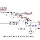 혈액 응고 기전 이미지